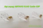 Đầu mạng RJ45 Cat5e AMTAKO 53P