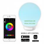 Loa Di Động Bluetooth kiêm đèn ngủ đổi màu