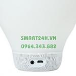Loa Di Động Bluetooth kiêm đèn ngủ đổi màu
